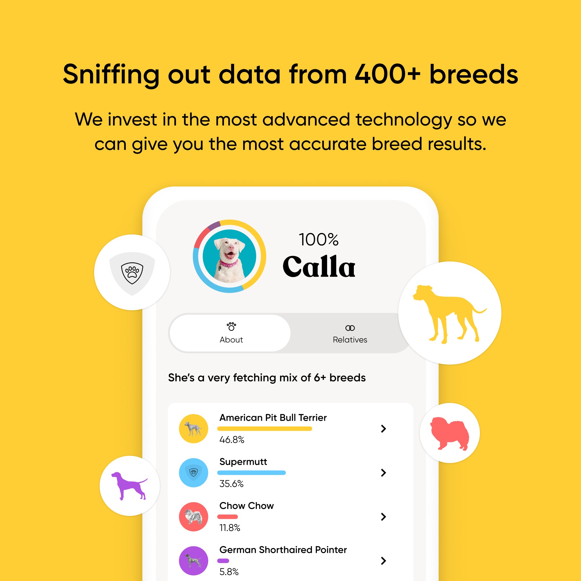 App interface on a yellow background with dog breed analysis information.