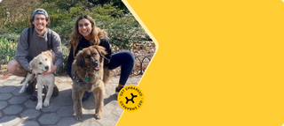 A man and woman sitting outdoors with two golden dogs, featuring a yellow round seal that says Get Embarked.