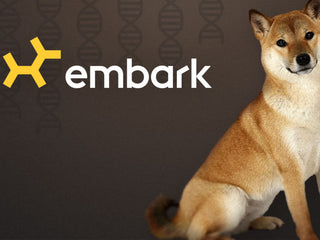 Inbreeding in Dogs Explained