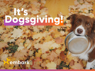 Happy Dogsgiving