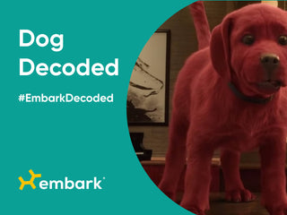 Decoding Clifford, the Big Red Dog