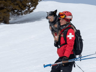 Avalanche Rescue Dogs