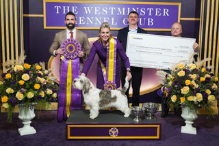 Westminster and Embark: Honoring the Past, Embracing the Future
