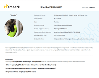 DNA Health Summary for Puppies