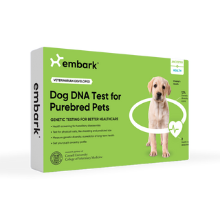 5 Myths About Purebred Dog DNA Tests