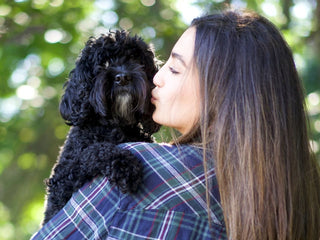Dog Love Languages