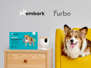 From DNA to Daily Data: How Tech Is Transforming Pet Health