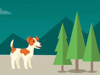 Tips for Hiking With Your Dog