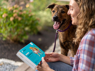 Top Reasons to Get Your Dog’s DNA Tested