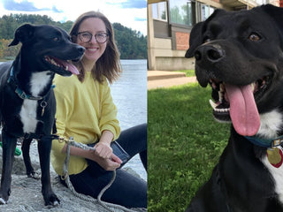 Embark Customer Stories: The Winston Family
