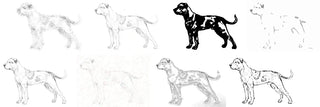 A collage of dog illustrations and line-art sketches on a white background, showing different variants.