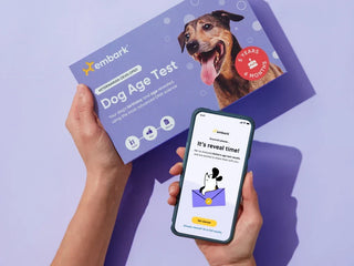 person holding an embark dog age test box in one hand, and holding a phone in the other that says it's age reveal time
