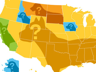 The Most Popular Breed in Mixed Breed Dogs by State