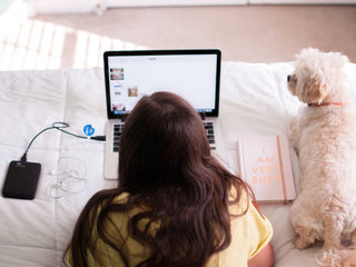 How to Work from Home with Dogs