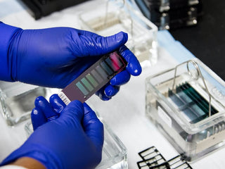 How DNA Genotyping Works