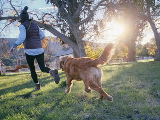 Workouts You Can Do With Your Dog