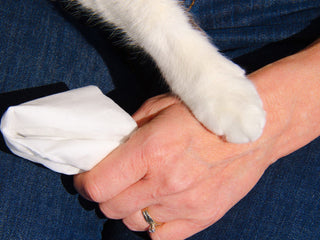 Understanding Pet Loss and How to Help