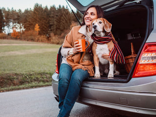 7 Tips for Car Rides with Your Dog