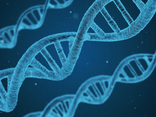 Celebrating DNA Day