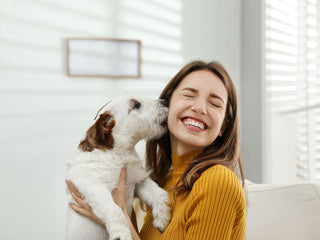Embark Partners with AnimalBiome to Study the Dog Microbiome