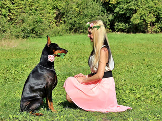 doberman with woman