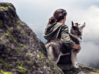 Embarking on Dog Ancestry Research