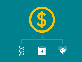 How Much Does a Dog DNA Test Cost?