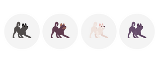 illustration of four dogs with different coat colors