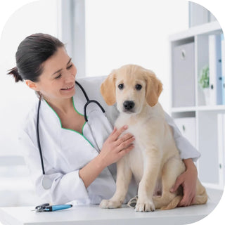 RACE-approved Canine Genetics Continuing Education