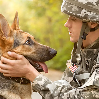 a soldier with a german shepherd dog