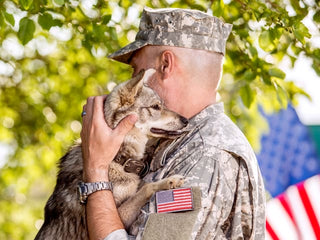 10 Things to Know About Military Dogs