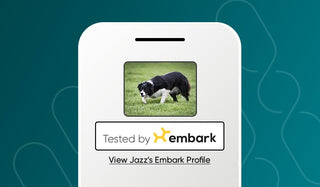 Tested by Embark Logos for Breeders