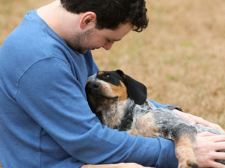Top 5 Most Cuddly Dog Breeds
