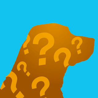Can a Registered Purebred Dog Appear as Mixed Breed on a DNA Test?