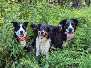 How Restoring Rave’s Gut Health Helped Her Love Mealtime