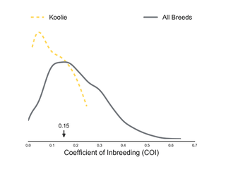 line chart showing genetic coefficient of inbreeding of a koolie compared to all breeds and within the koolie breed