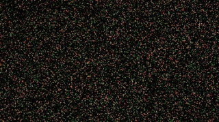 multicolored fluorescent dots showing what a dog's genetic analysis run might look like with embark using snp chips that have tons of probes
