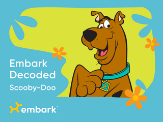 Scooby-Doo Decoded