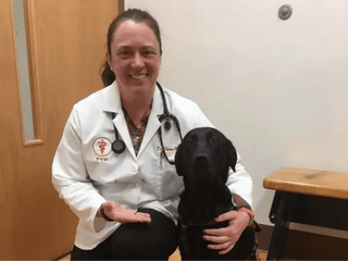Telford Vet Hospital pilot study​