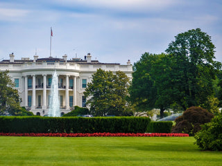 Famous Presidential Dogs in the White House