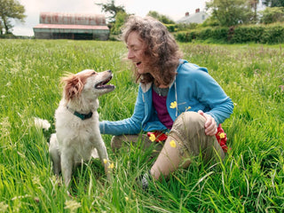 Do Dogs Look Like Their Owners?