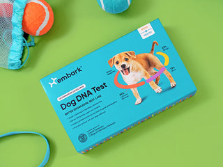 Teal Embark Breed + Health dog DNA test box, printed with a puppy encircled by a breed composition ring.
