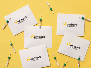 Five white Embark for Breeders dog DNA test mailers scattered on a yellow background with cheek swab tubes.