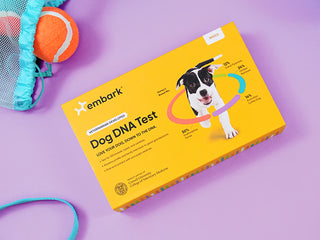 Yellow Embark Breed ID test box, printed with a black and white puppy encircled by a breed ring.