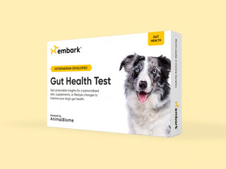 White Embark Gut Health Test box with a Gut Health tag and a merle dog with blue eyes on the front.