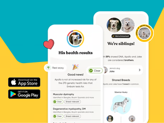 Two overlapping phone screens from the Embark app, one showing a dog health results page and one a sibling match.