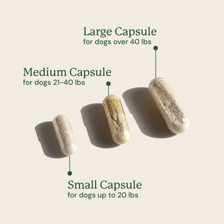 Three capsules labeled for different dog weight ranges on a light background
