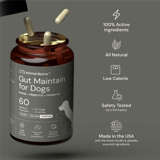 Dog supplement jar with capsules on a featuring product details