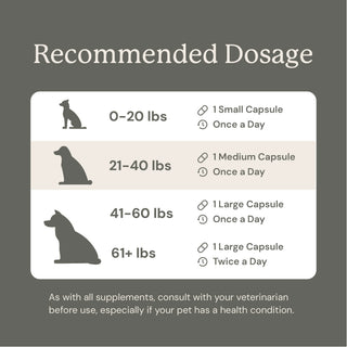 Recommended dosage chart for dogs on a gray background