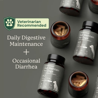 veterinarian recommended dog supplement for daily digestive maintenance and occasional diarrhea